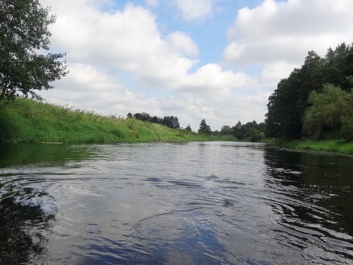 Przyroda nad Wkrą