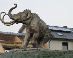 Strzegowo Mamut